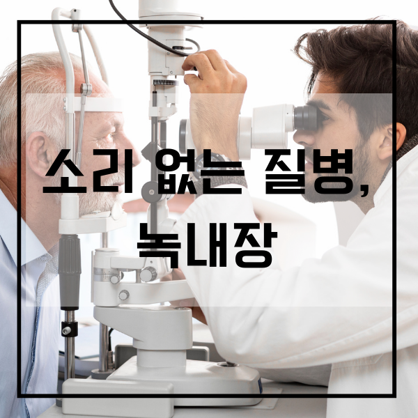 녹내장, 안압, 시신경, 시력, 시야, 진단, 치료, 검진, 합병증, 조기 진단