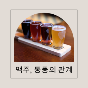 통풍 맥주와의 관계