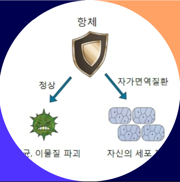 류마티스관절염, 관절염치료제, 증상, 원인, 진단, 예방