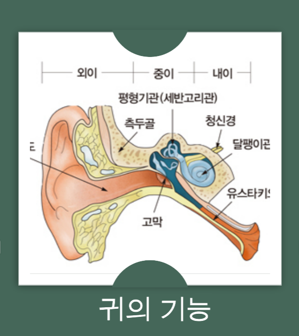 이석증, 현기증, 내이 결정