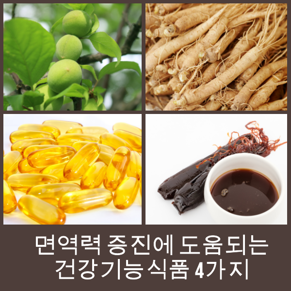 면역력 증진